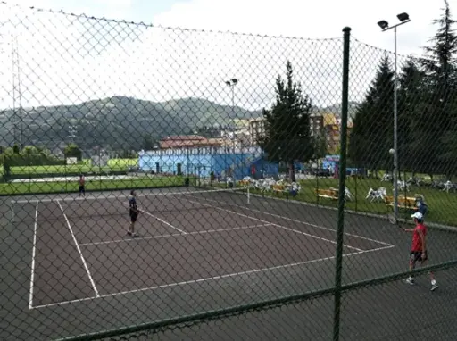 Tenis